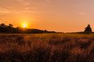 Sonnenuntergang in der Westrupper Heide von Raik C.