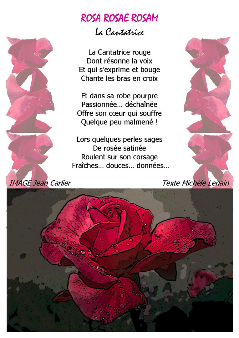 C6 ROSA ROSAE ROSAM La Cantatrice