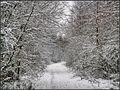 Winterwonderland von Von der Dinkelheide