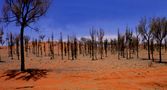 im australischen Outback von Fritz Dr.Merl