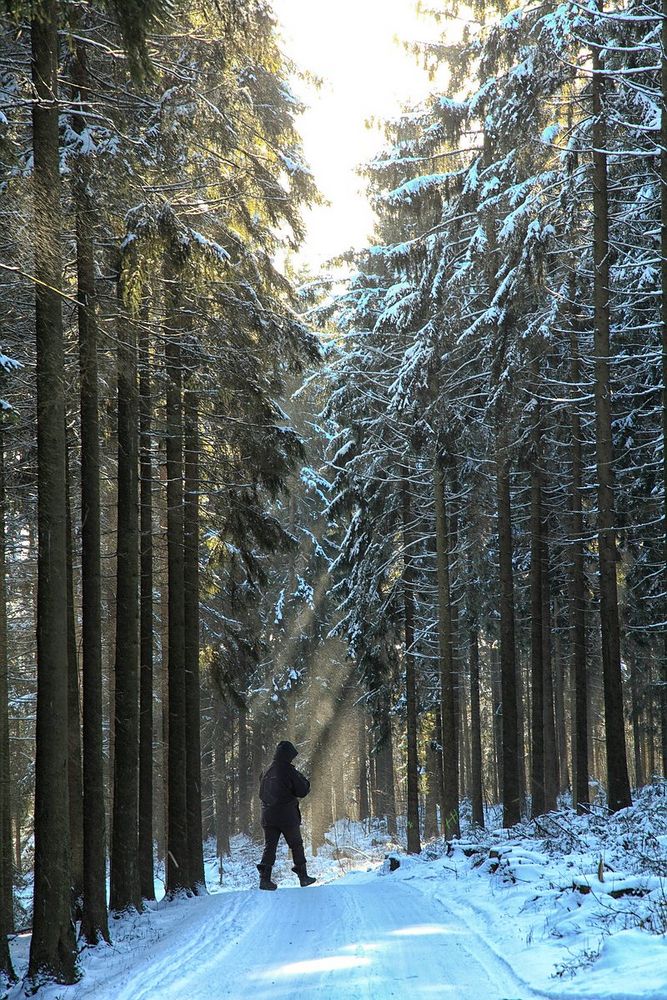 Abendlicht von Günter Nagel 