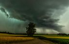Shelf-Cloud von Corry DeLaan