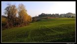 ..autunno..in collina.. von Tullio Corradini 