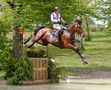 Eventing/Vielseitigkeit Marbach 2014 von AWpixx 