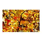 C70AC306-81CD-4BF6-9AE3-3662E4554AE5