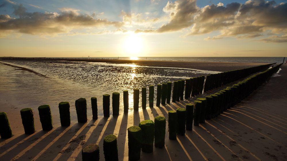 's avonds op het strand von Der pheine Herr 