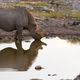 Etosha-3