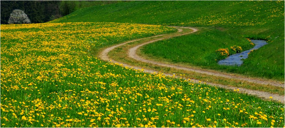 Spaziergang über Felder von Wolfgang Fendt