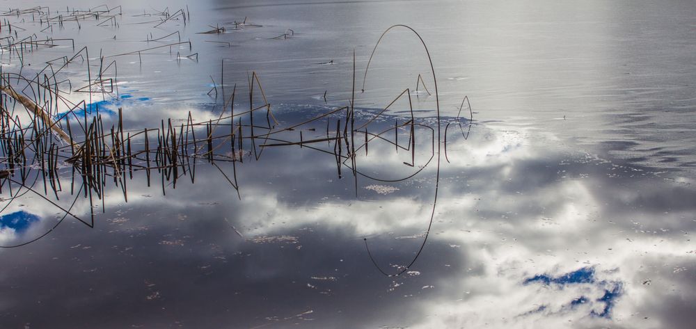 Icy Mud Lake von Jack Hinks