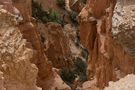 Bryce Canyon (Felsschnitzerei) by Günter Nau