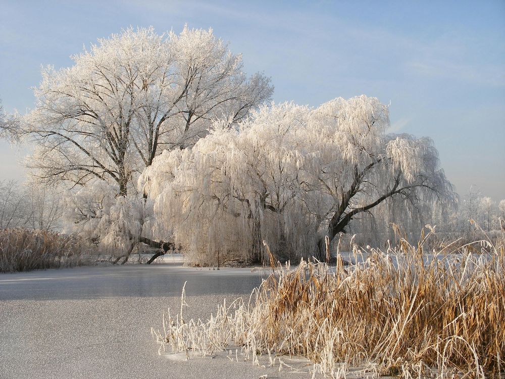 Winter am Barsikower Upstall  von Michael Kasper