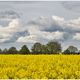 Raps mit dramatischen Wolken