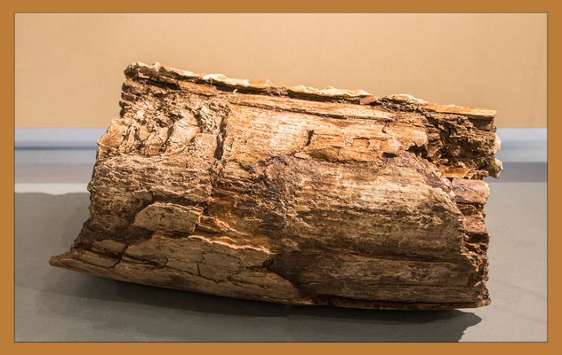 " ca. 350.000 Jahre alt "