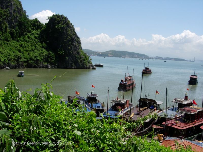 Ca Ba Hai Phong VN