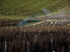 CA BOSSE DUR DANS LE VIGNOBLE JURASSIEN