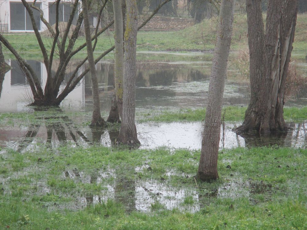 ..Ca déborde, près du vieux moulin..