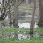 ..Ca déborde, près du vieux moulin..