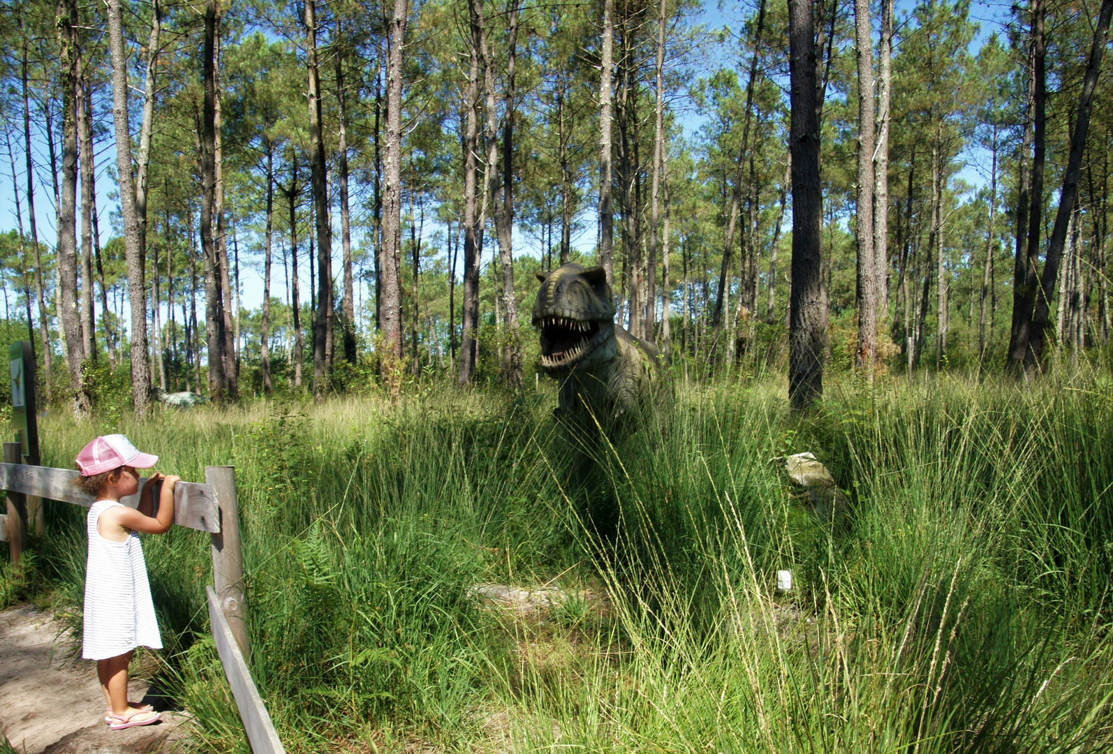 Ca existe encore les dinosaures ?