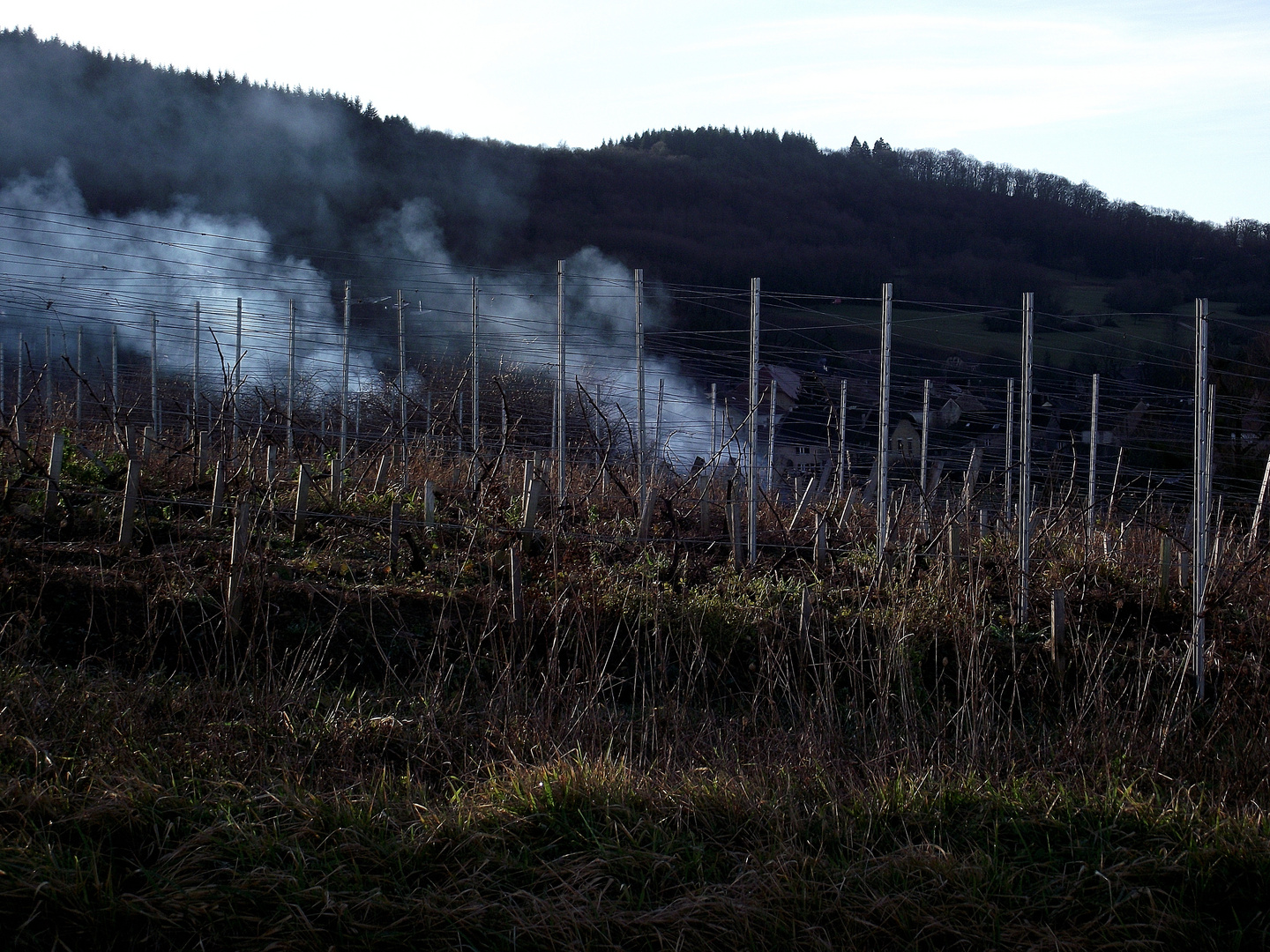 CA FUME DANS LE VIGNOBLE JURASSIEN