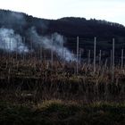 CA FUME DANS LE VIGNOBLE JURASSIEN