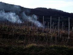 CA FUME DANS LE VIGNOBLE JURASSIEN