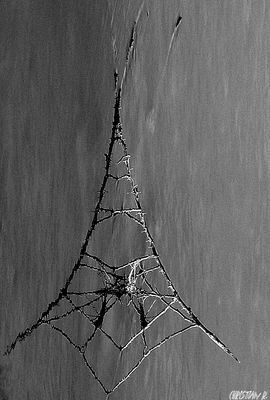 Ca m'fait penser à quelque chose...