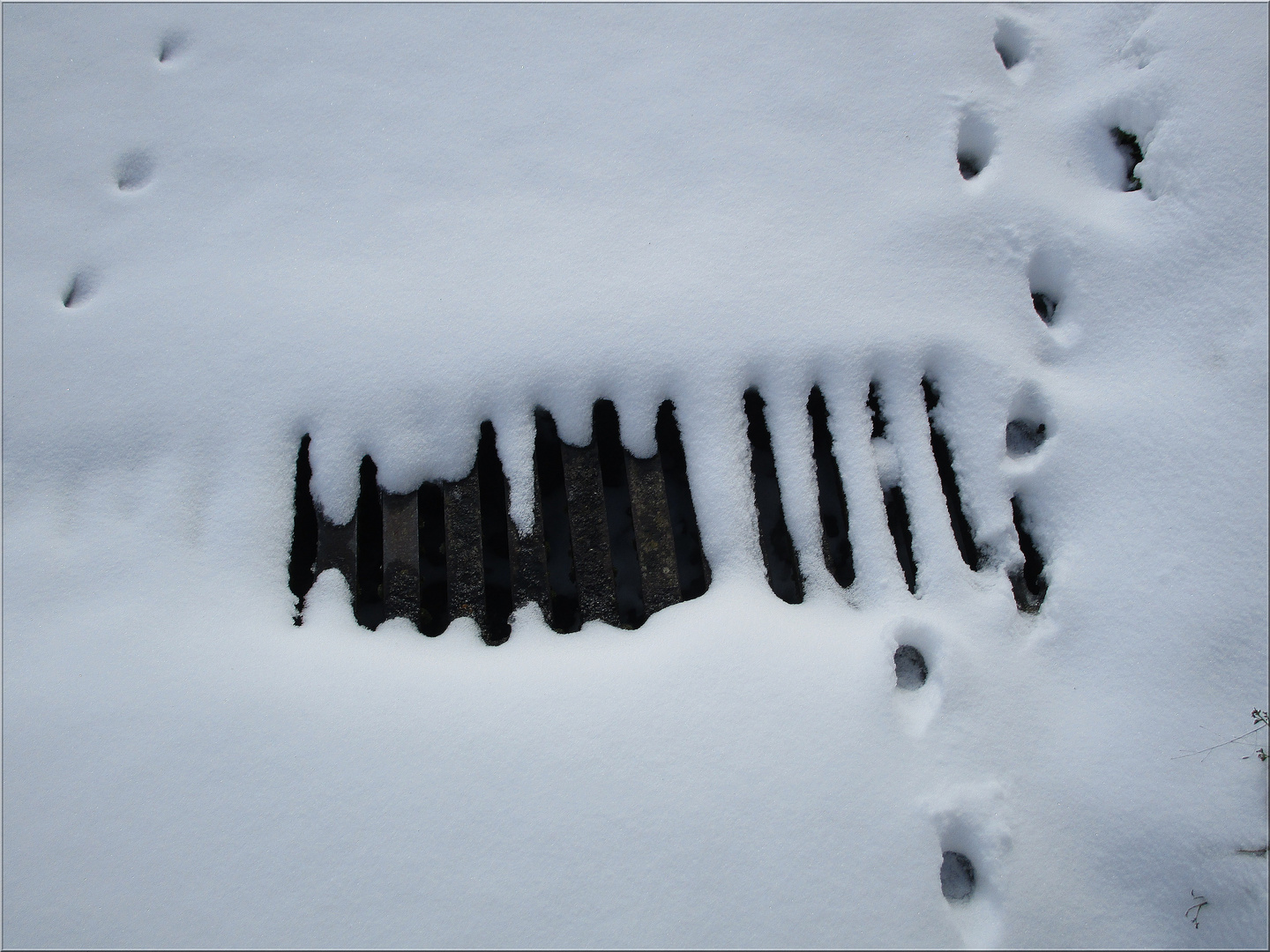 ..Ca ne fond pas à - 7° dans le Loiret