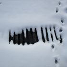 ..Ca ne fond pas à - 7° dans le Loiret