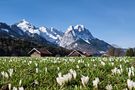 Frühling in Garmisch Partenkirchen von Rosenzweig Toni