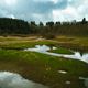 Landschft am See