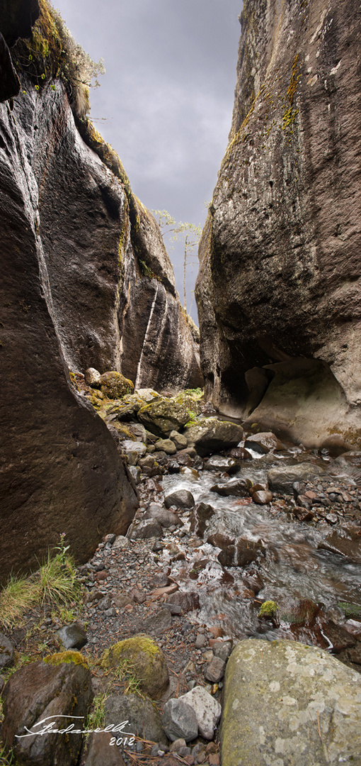 CAÑADA DEL RIO JAMAPA