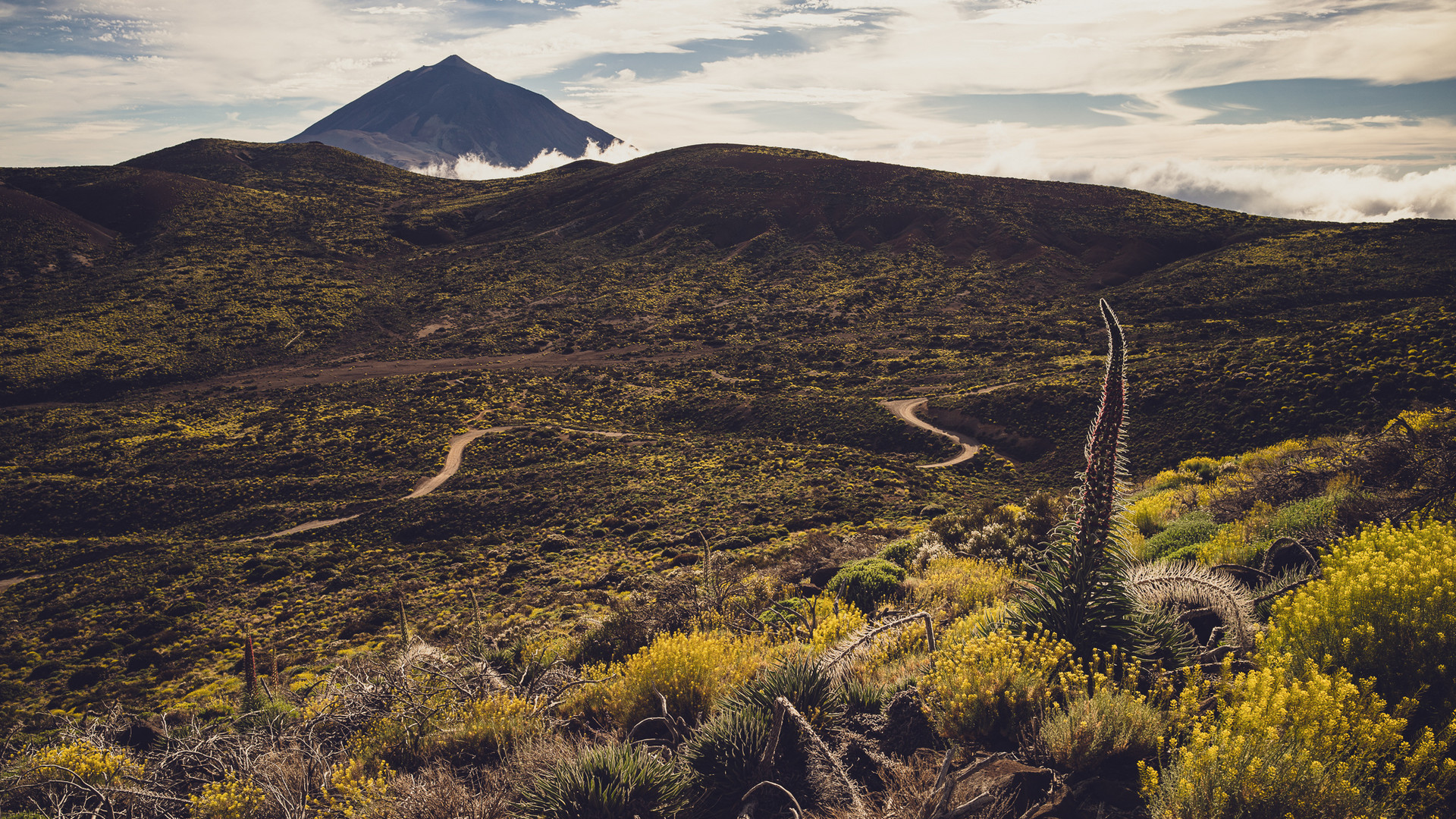 Cañadas del Teide, Tenerife