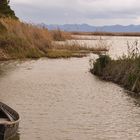 Cañas y Barro