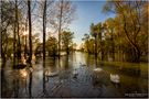 Street Swimming von 73-Photography