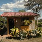 cabaña colombiana