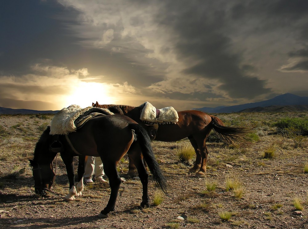 Cabalgando en Potrerillos