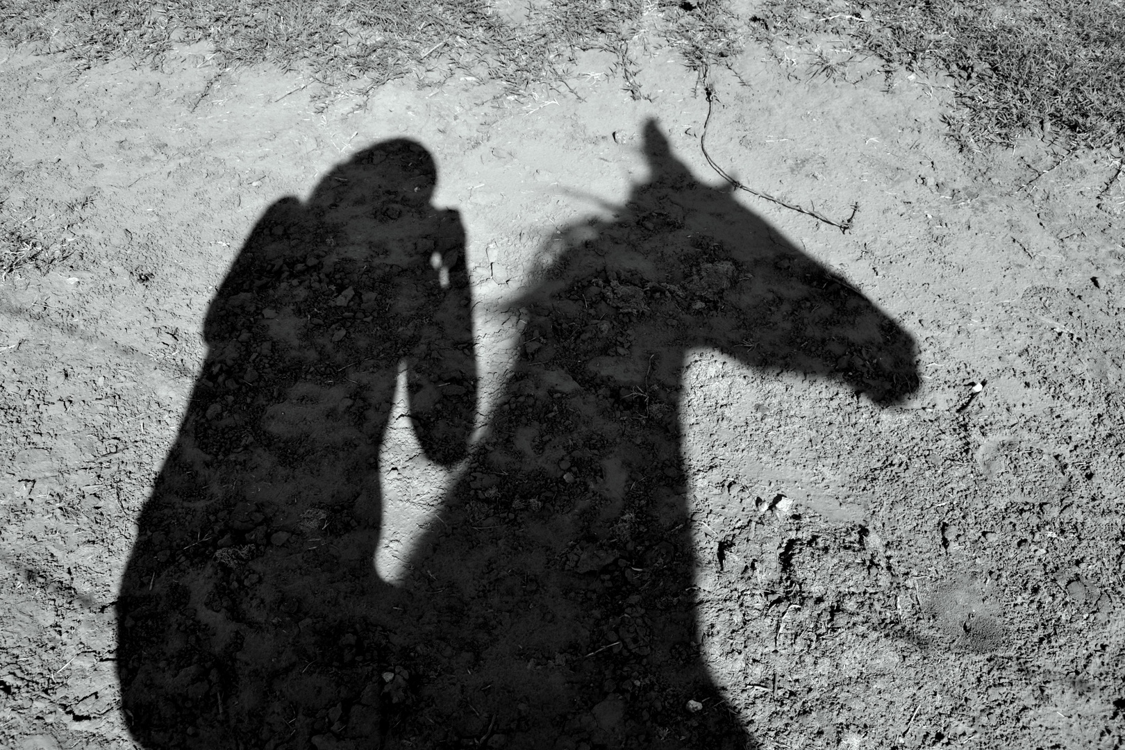 Cabalgando.... en sombras.