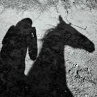 Cabalgando.... en sombras.