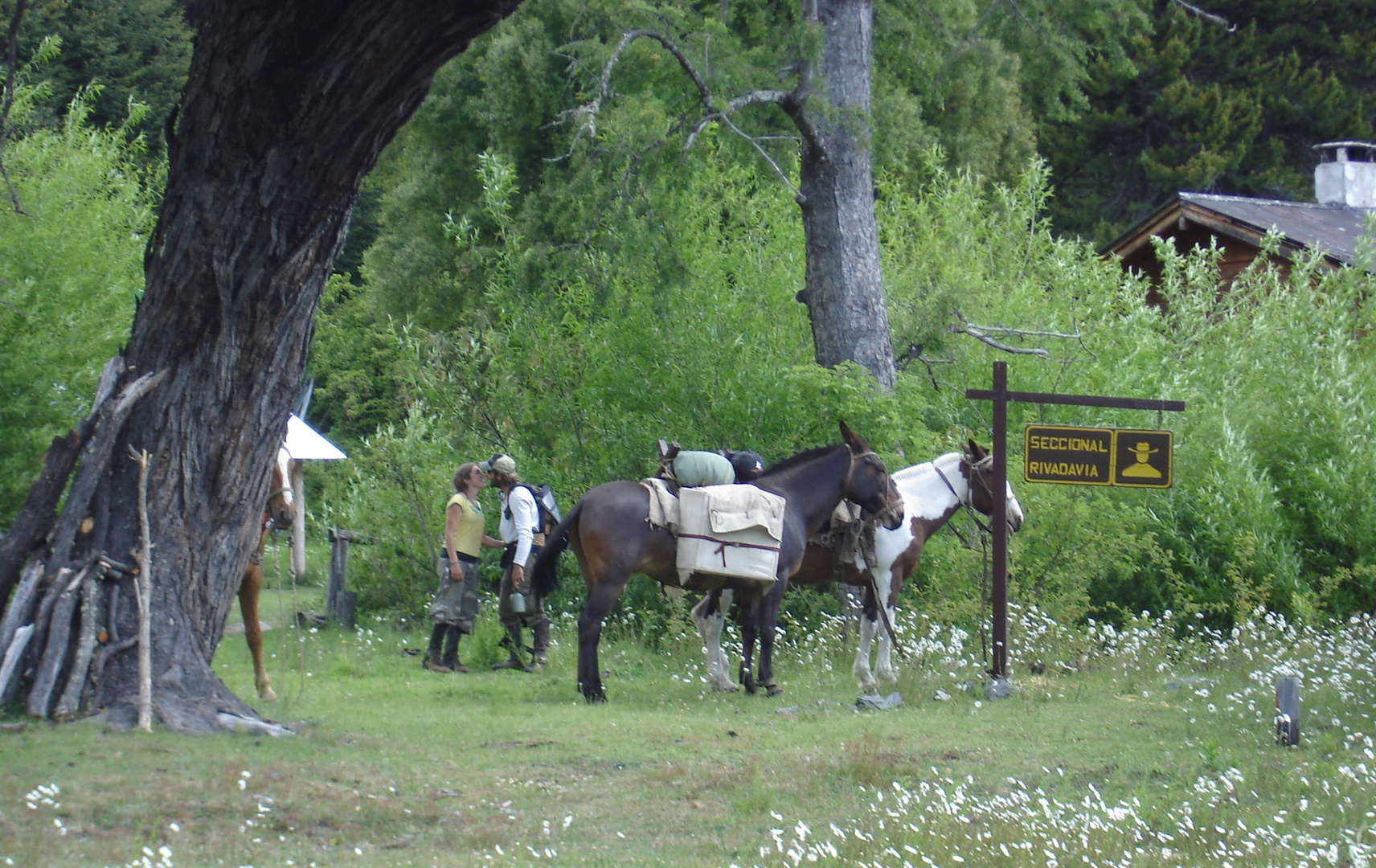 Cabalgando juntos