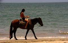 Cabalgar la playa