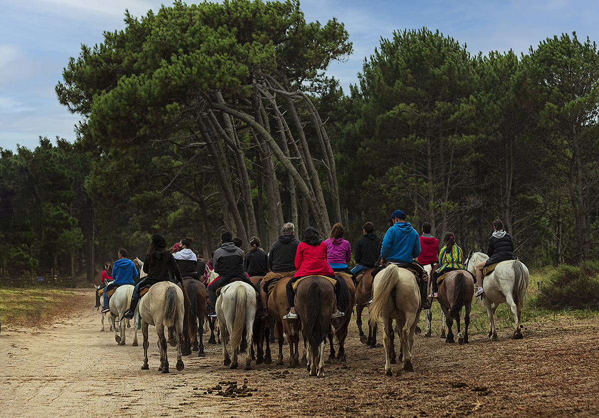 Cabalgata