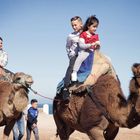 Cabalgata en camellos.