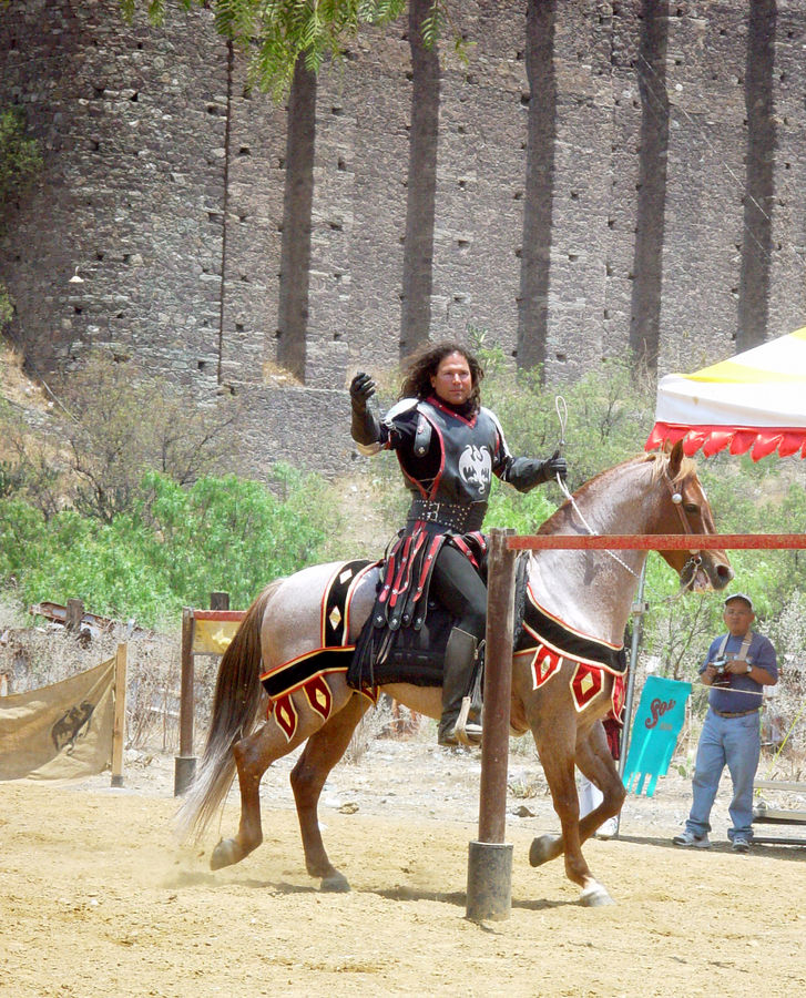 Caballero Medieval