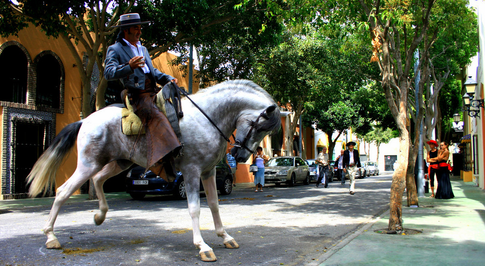 Caballo bravo.