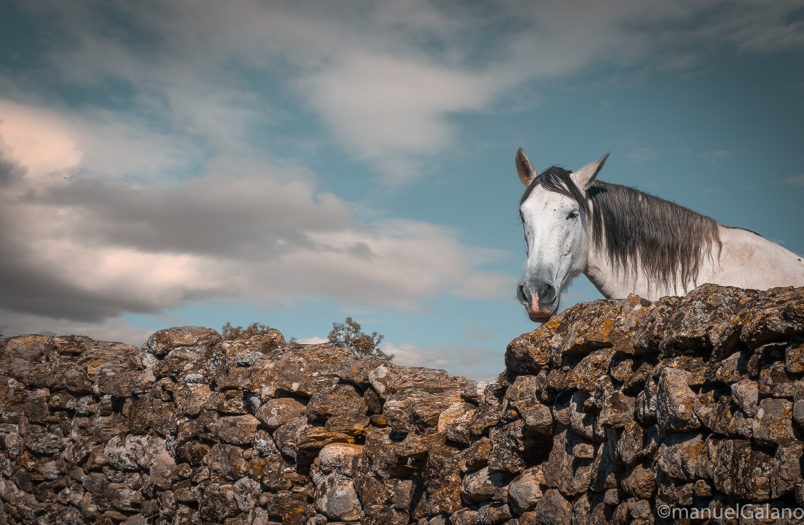 caballo