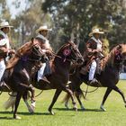 Caballo de Paso