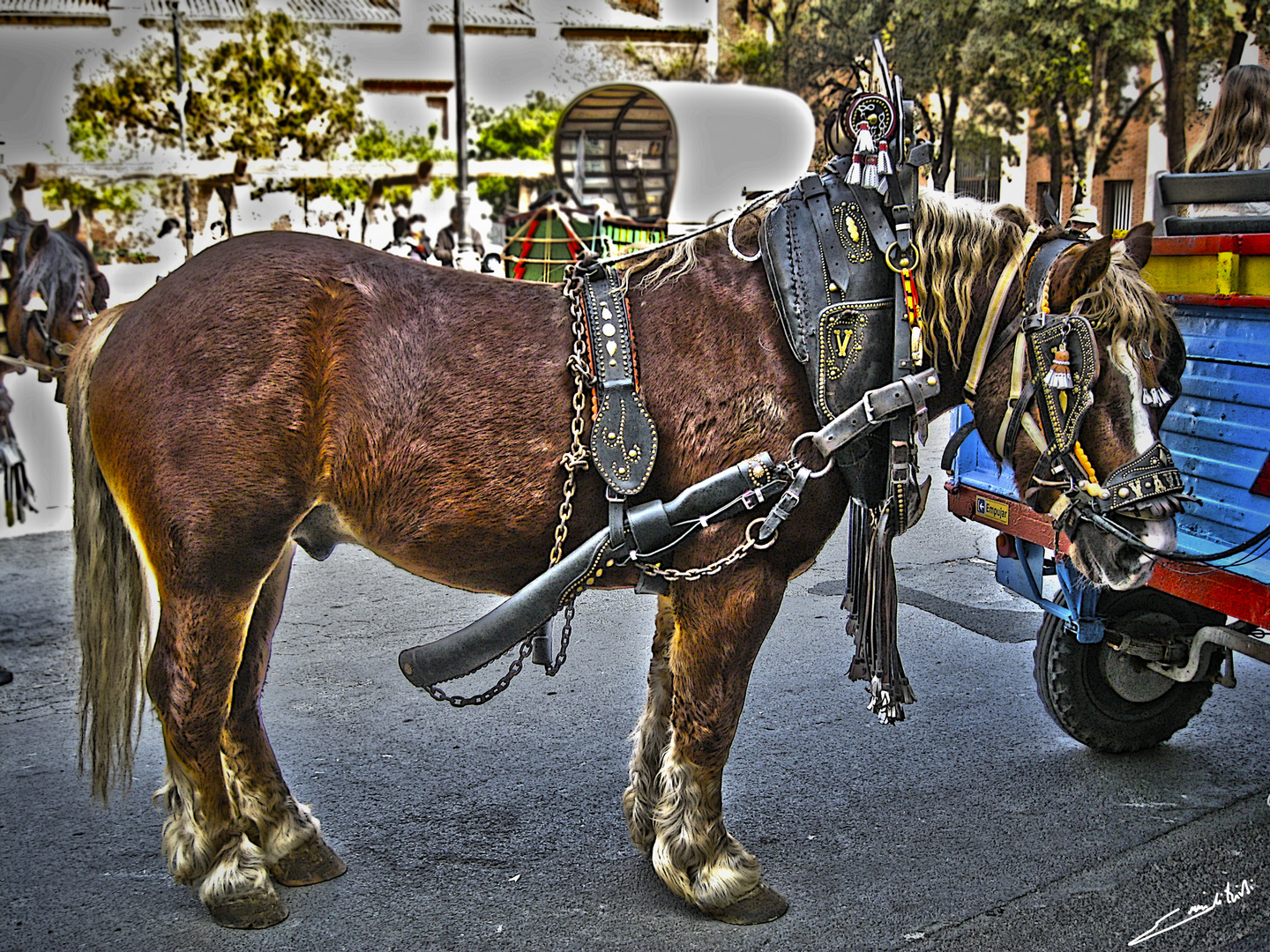 Caballo de tiro y arrastre