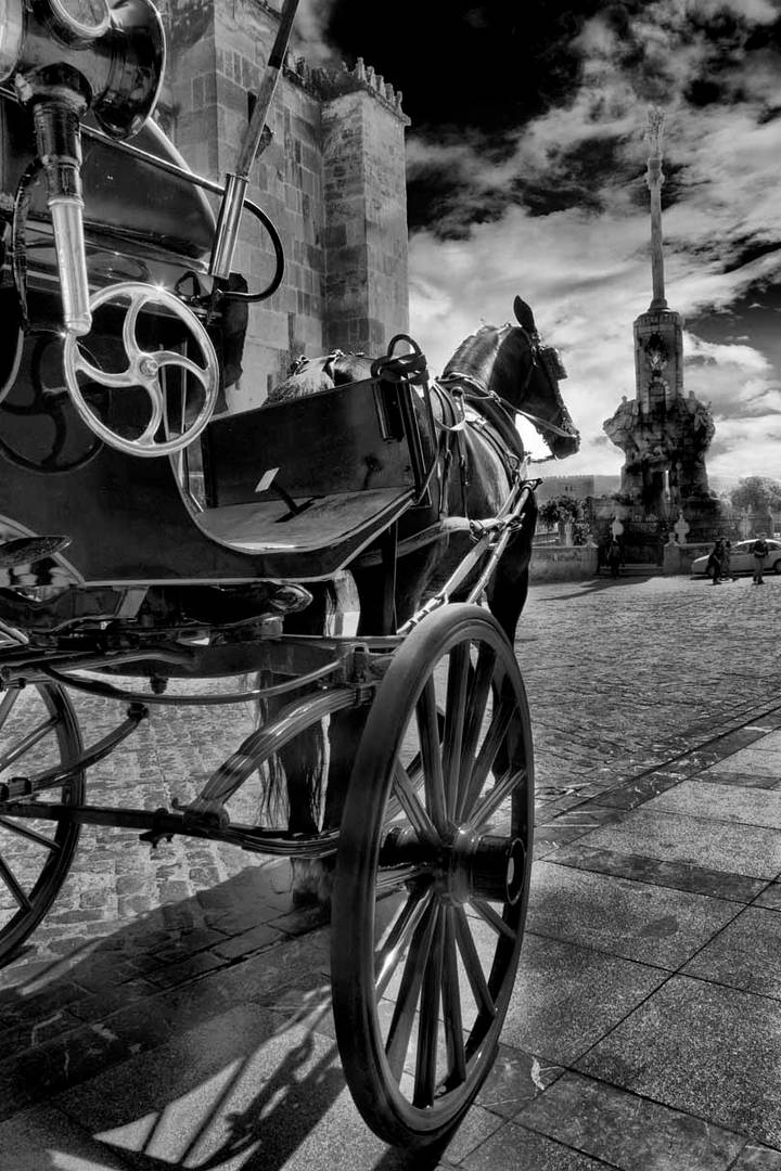 Caballo, Mezquita y S. Rafael