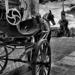 Caballo, Mezquita y S. Rafael