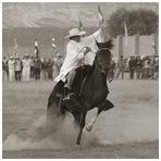 Caballo peruano de paso